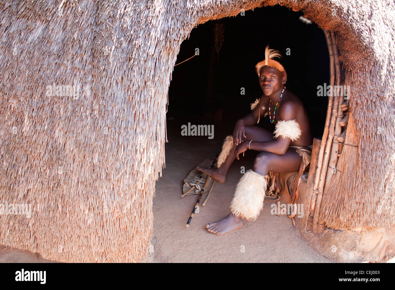 Traditional Dancers at Phezulu Safari Park,Valley of a Thousand Hills,KwaZulu Natal. South Africa. Stock Photo