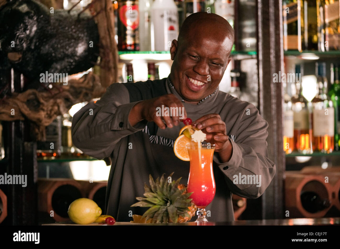 Barman making a cocktail,Bakubang Safari Lodge,Pilanesberg Game Reserve,North West Province Stock Photo