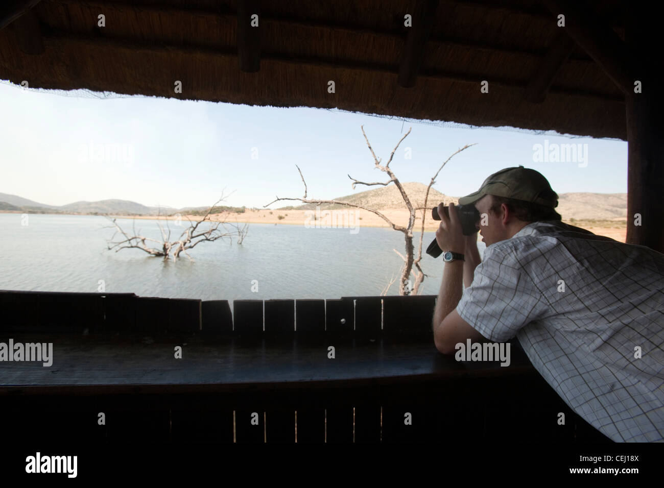 Tourist observing wildlife from Hide at Bakubang,Pilansberg Game Reserve,North West Province Stock Photo