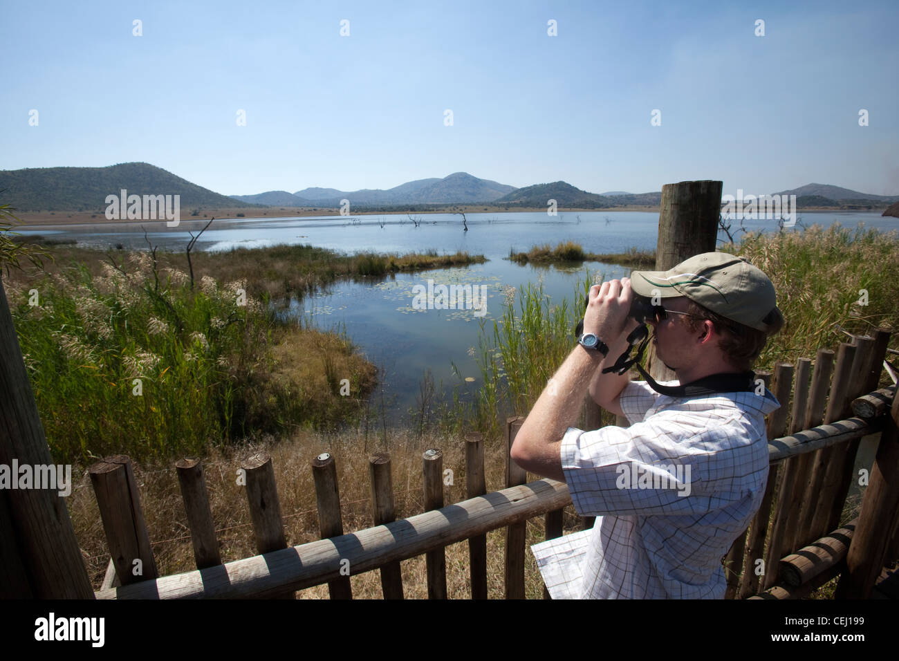 Tourist observing wildlife from Hide at Bakubang,Pilansberg Game Reserve,North West Province Stock Photo