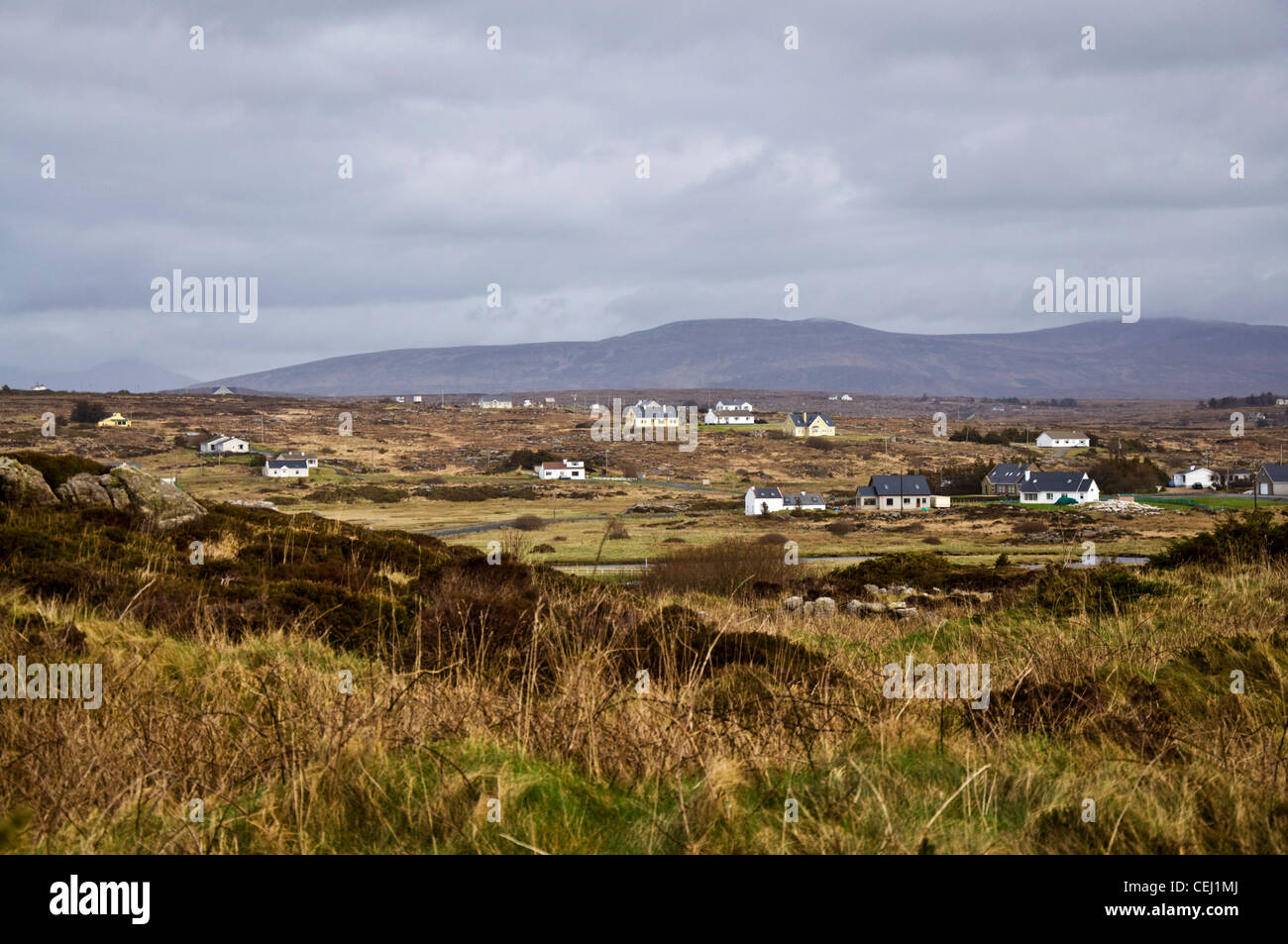 Homes housing property in rural Ireland Stock Photo Alamy