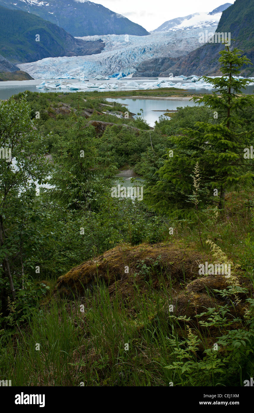 Mendenhall Glacier Juneau Alaska USA Stock Photo Alamy Mendenhall Glacier Juneau Alaska USA Stock Photo Alamy