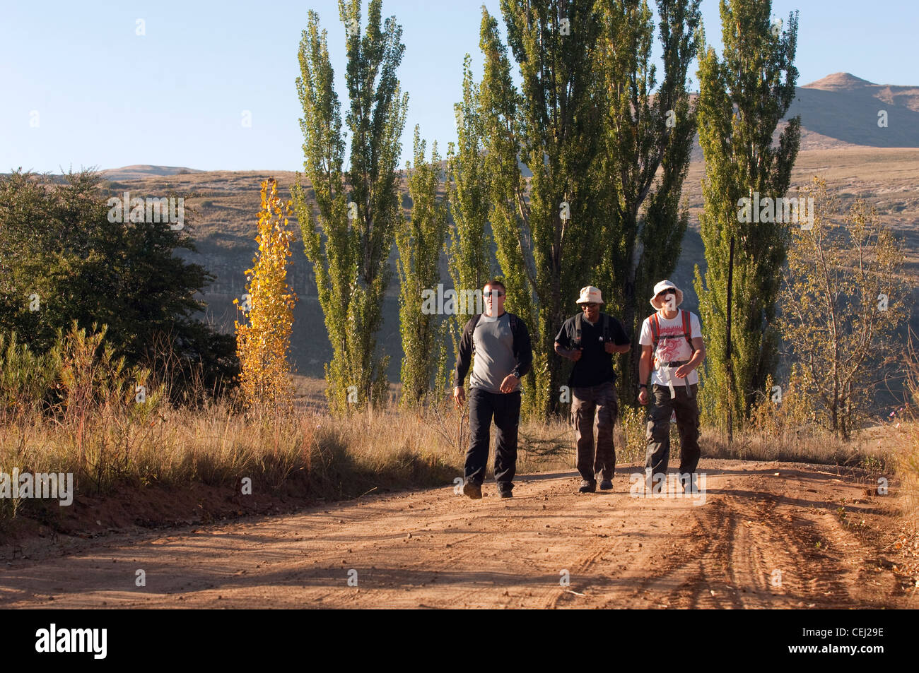 Hiking in Ficksburg area,Eastern Free State Province Stock Photo