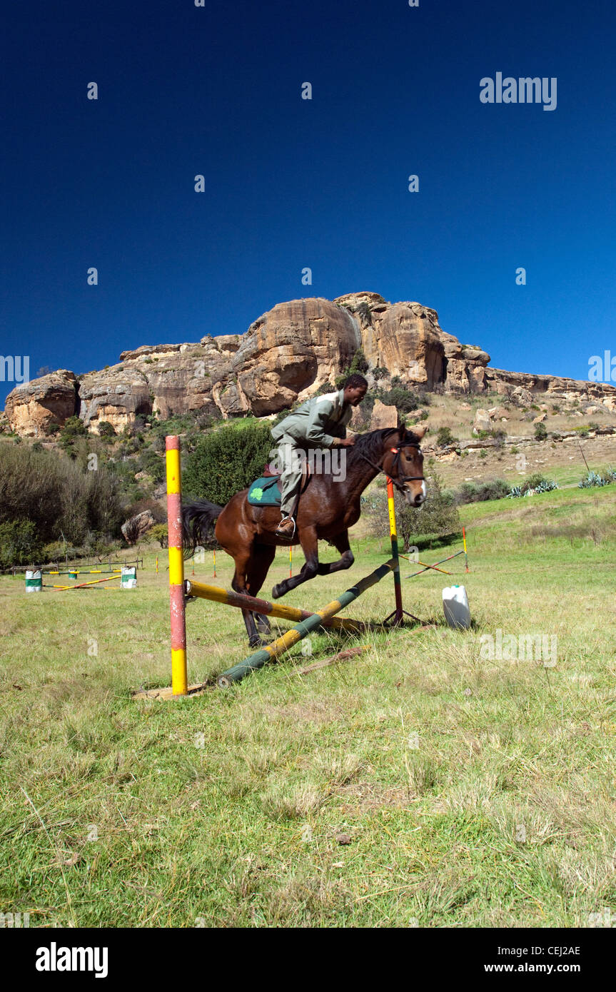 Horse jumping,Ficksburg,Eastern Free State Province Stock Photo