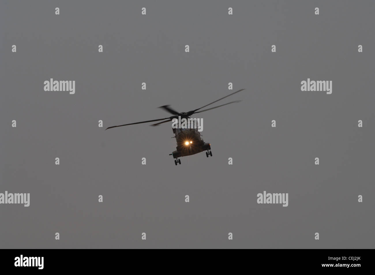 The Merlin Bird Of Prey HC3 And HC3a Are Operated By No 28 AC The merlin bird of prey hc3 and hc3a are operated by no 28 ac