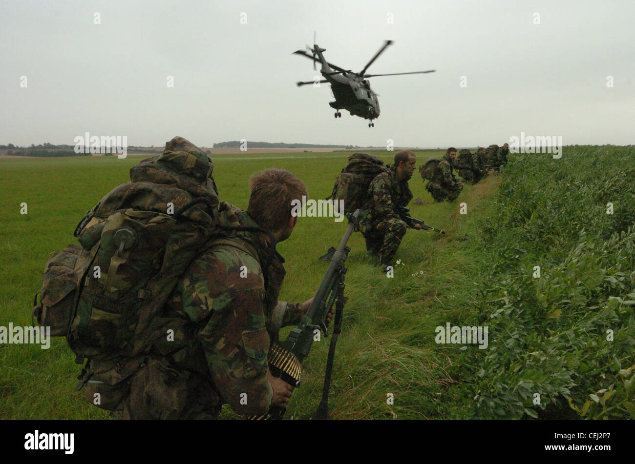 The Merlin Bird Of Prey HC3 And HC3a Are Operated By No 28 AC The merlin bird of prey hc3 and hc3a are operated by no 28 ac