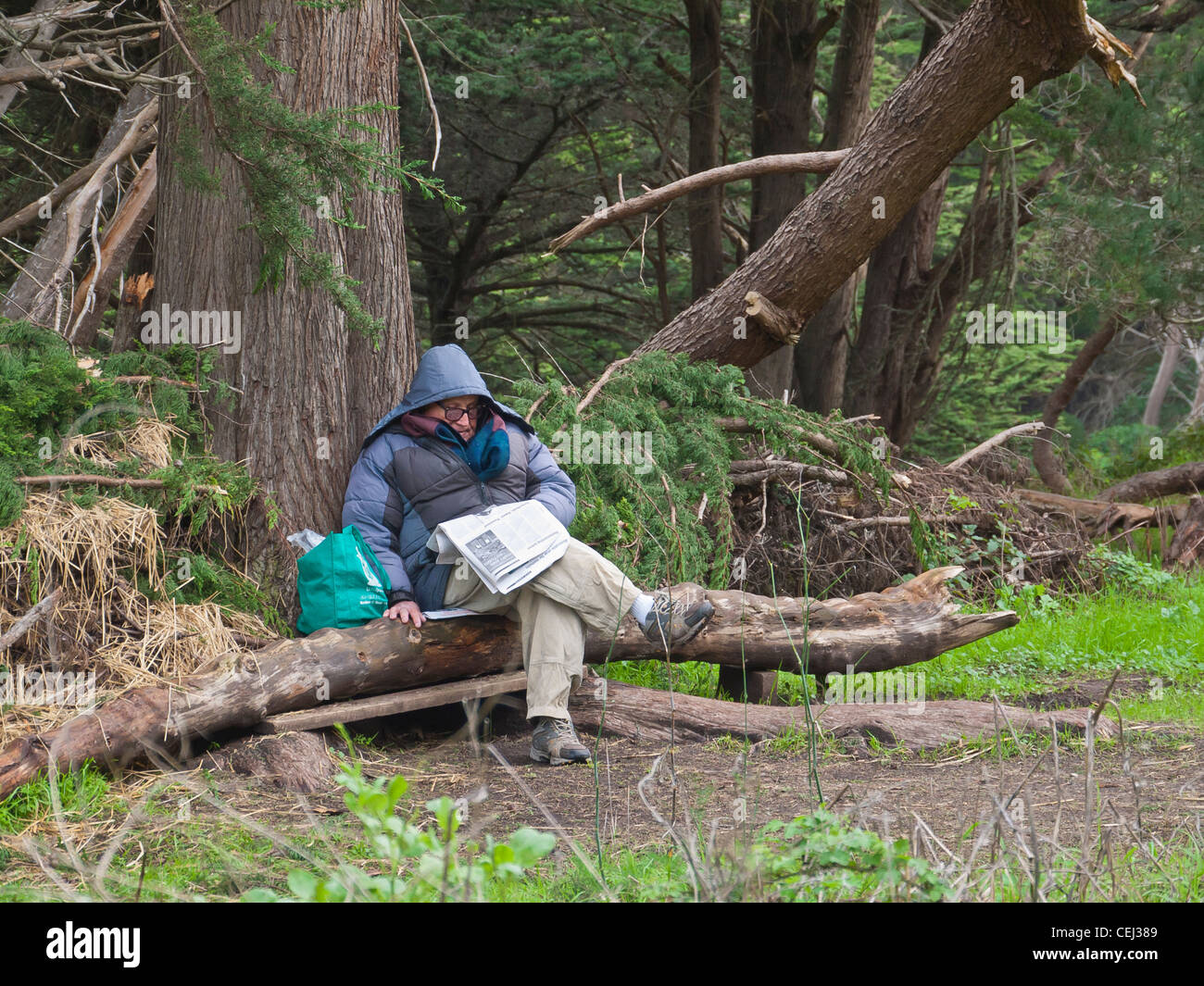 A 50-60 year old man bundled up in hooded parka sitting on a fallen tree branch reading newspaper in San Francisco, California. Stock Photo