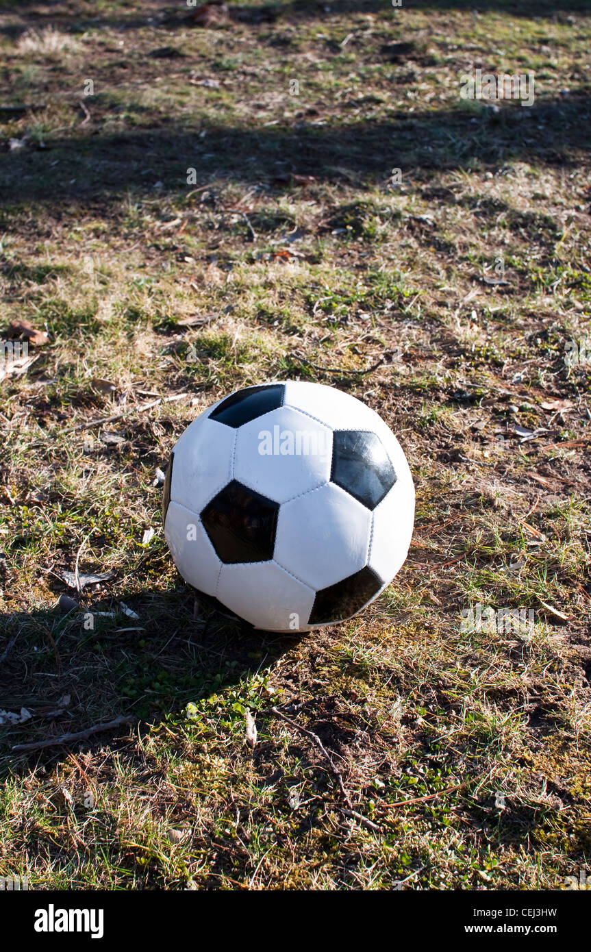 A generic black and white football / soccer ball, on grass in an American back yard / garden. USA. Stock Photo