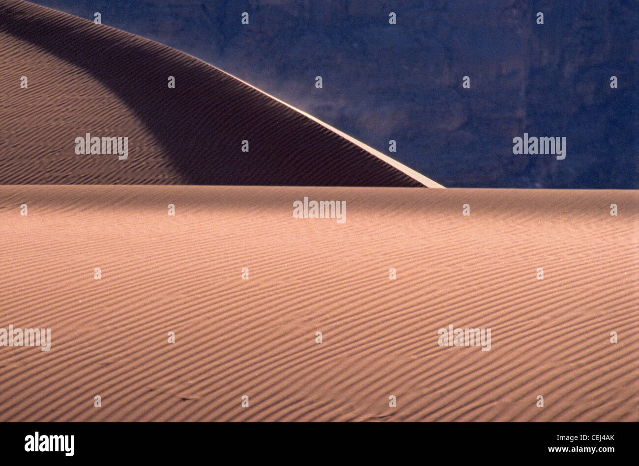 desert sand dune Stock Photo Alamy