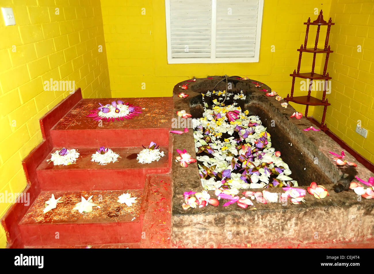 The bath for Ayurveda procedures in SPA at popular hotel, Bentota, Sri Lanka Stock Photo