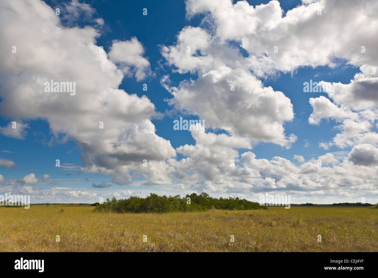 Shark Valley section the Everglades National Park Florida Stock Photo