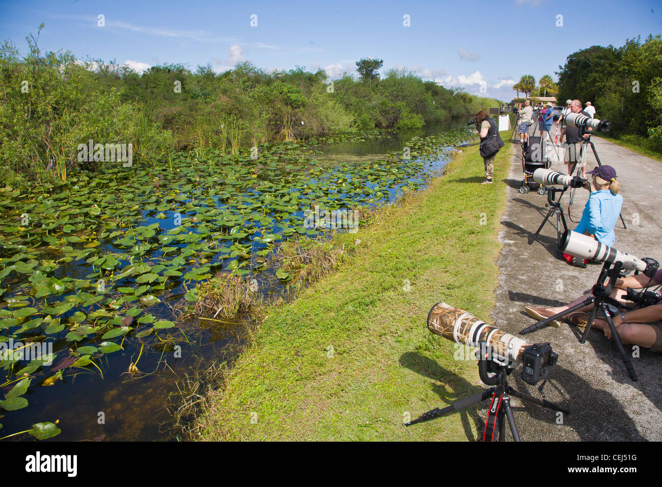 Photographers in the Shark Valley section the Everglades National Park Florida Stock Photo