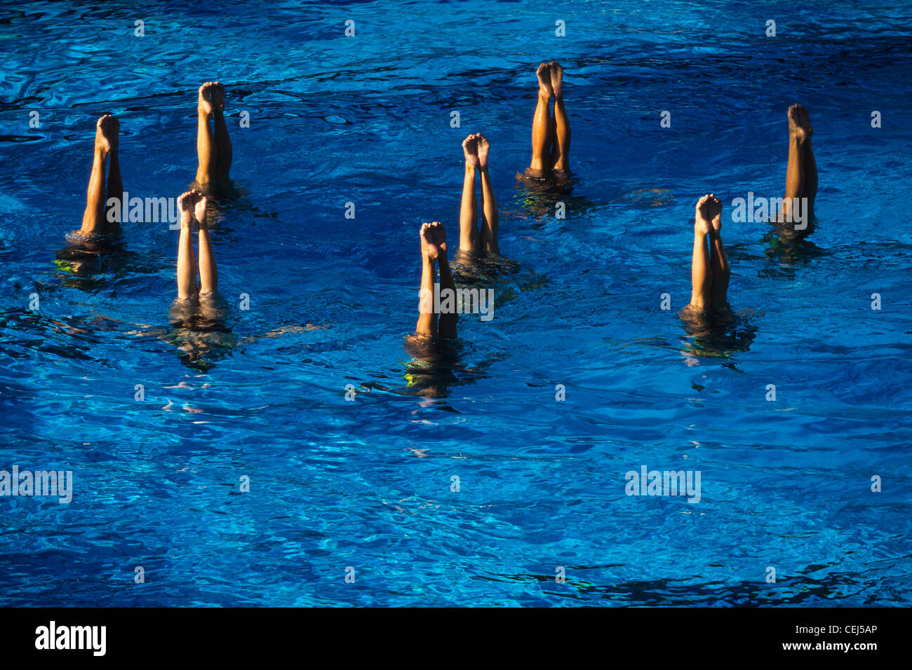 Team Synchronized Swimming competition at the 1994 World Aquatic