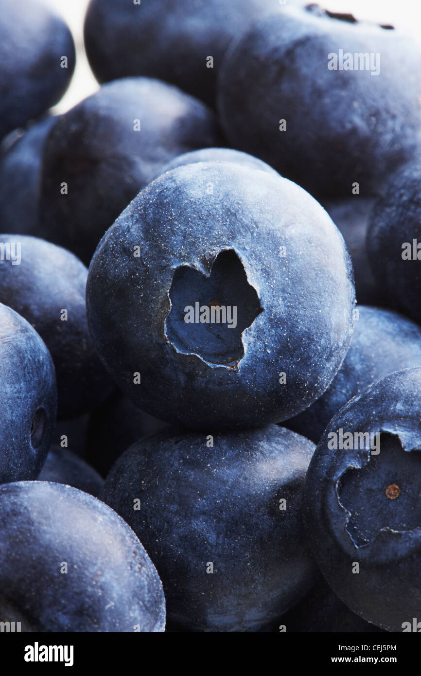 close up of Blueberries Stock Photo