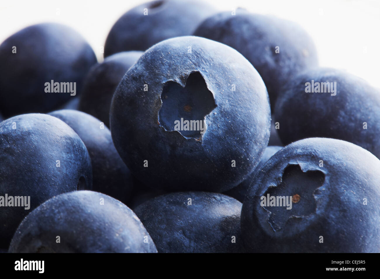 close up of Blueberries in a glass bowl Stock Photo