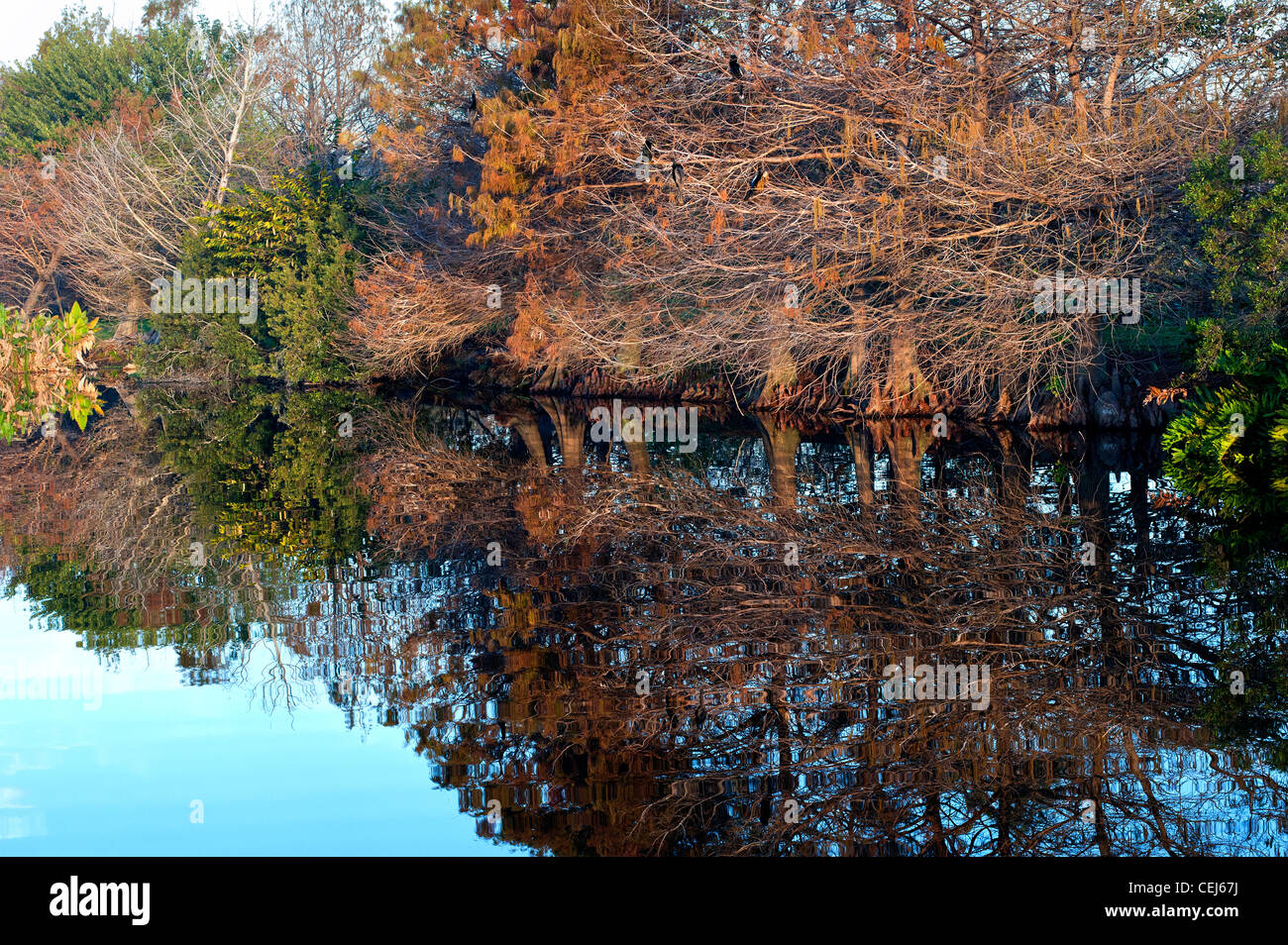 autumn scene with trees and lake Stock Photo - Alamy