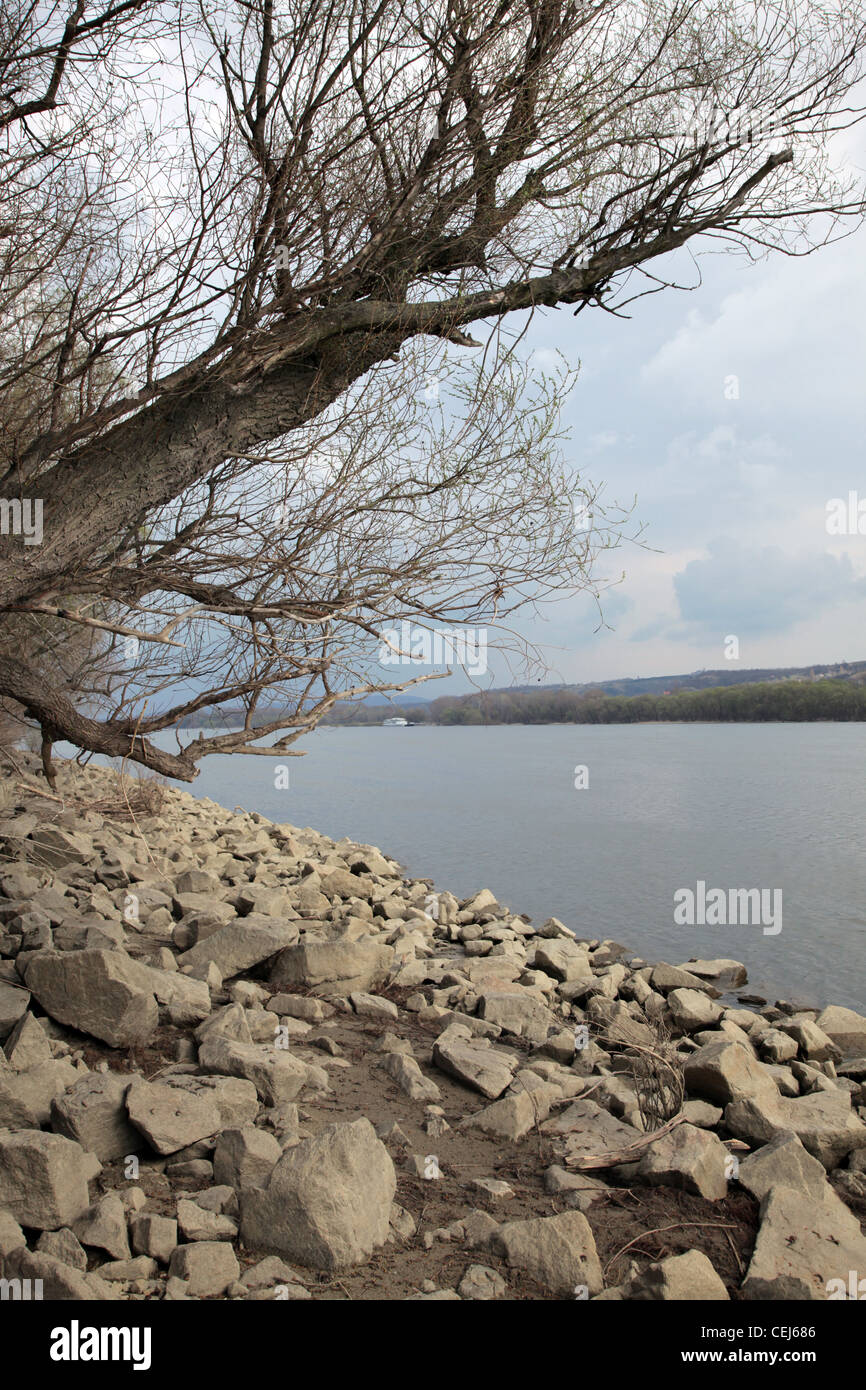 The river Danube near village Patince. Slovakia. Stock Photo