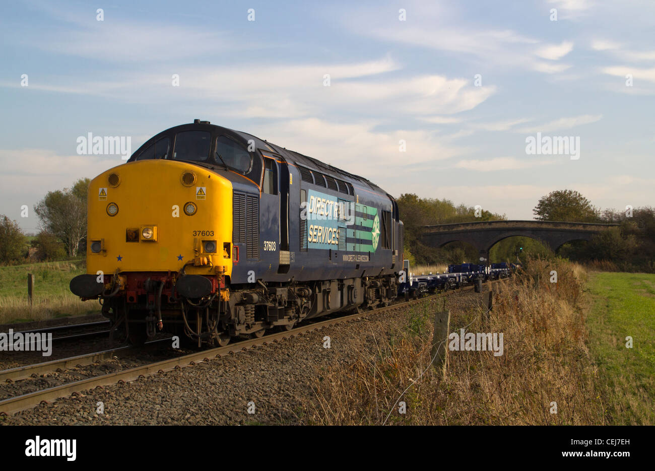 DRS class 37 37603 awaits its path onto the Derby to Birmingham line at Stenson, Derby with 4Z40 11.30 Shirebrook (WH Davies) to Stock Photo