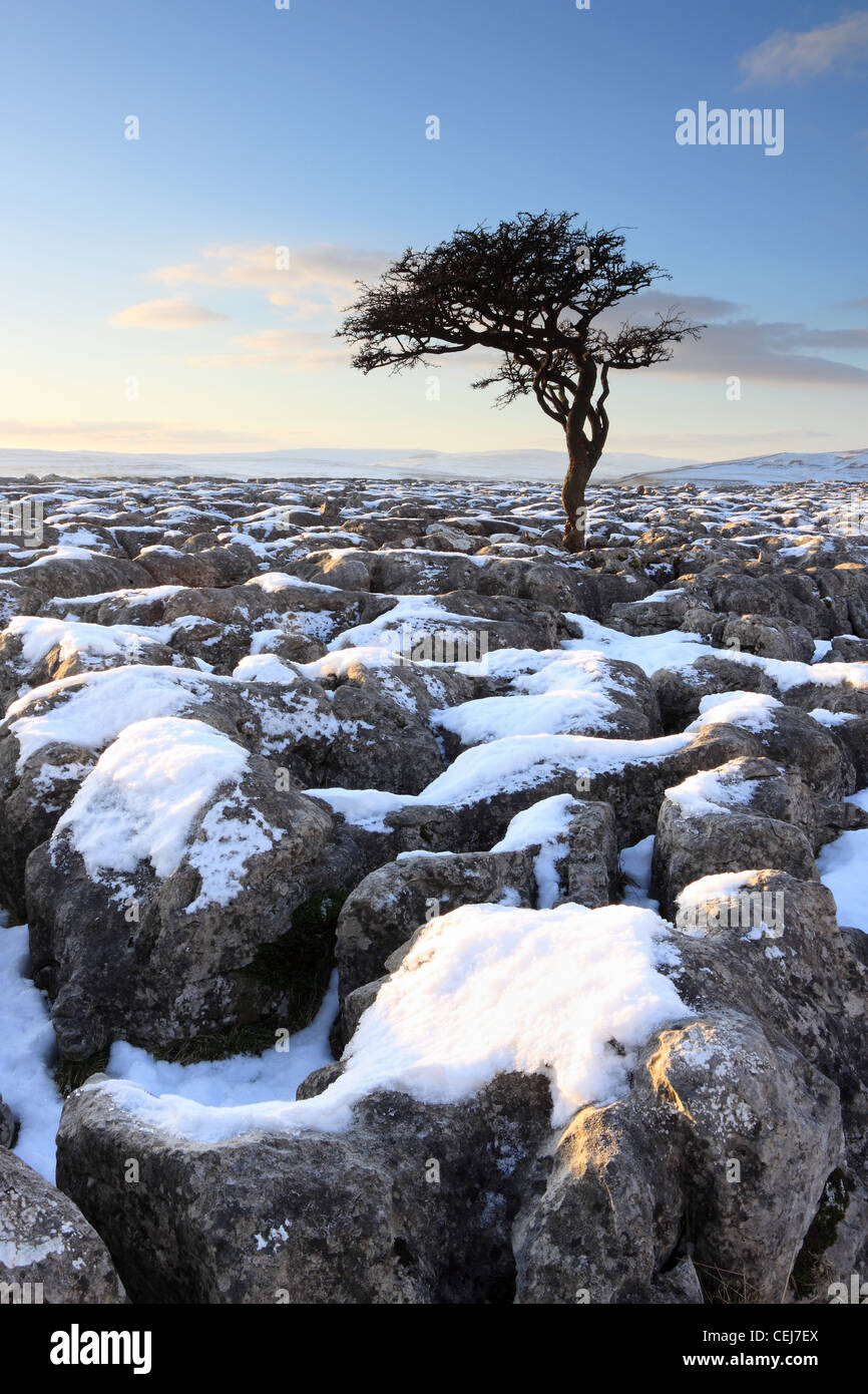 Snow covers the limestone pavement near Conistone in Upper-Wharfedale, in the Yorkshire Dales National Park, England Stock Photo