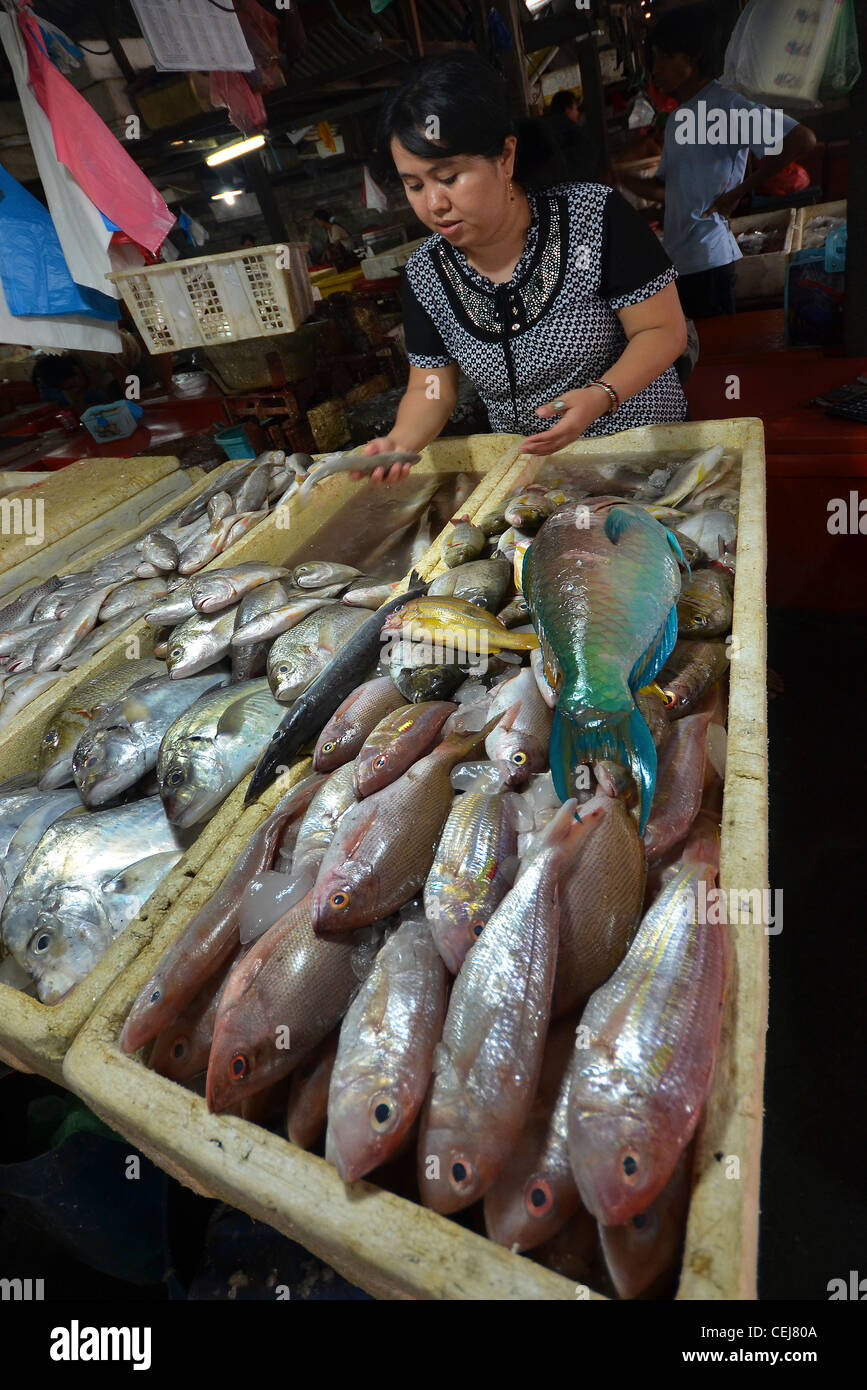 Fresh fish for sale at Jimbaran local fish market near Kuta Bali Indonesia Stock Photo Alamy