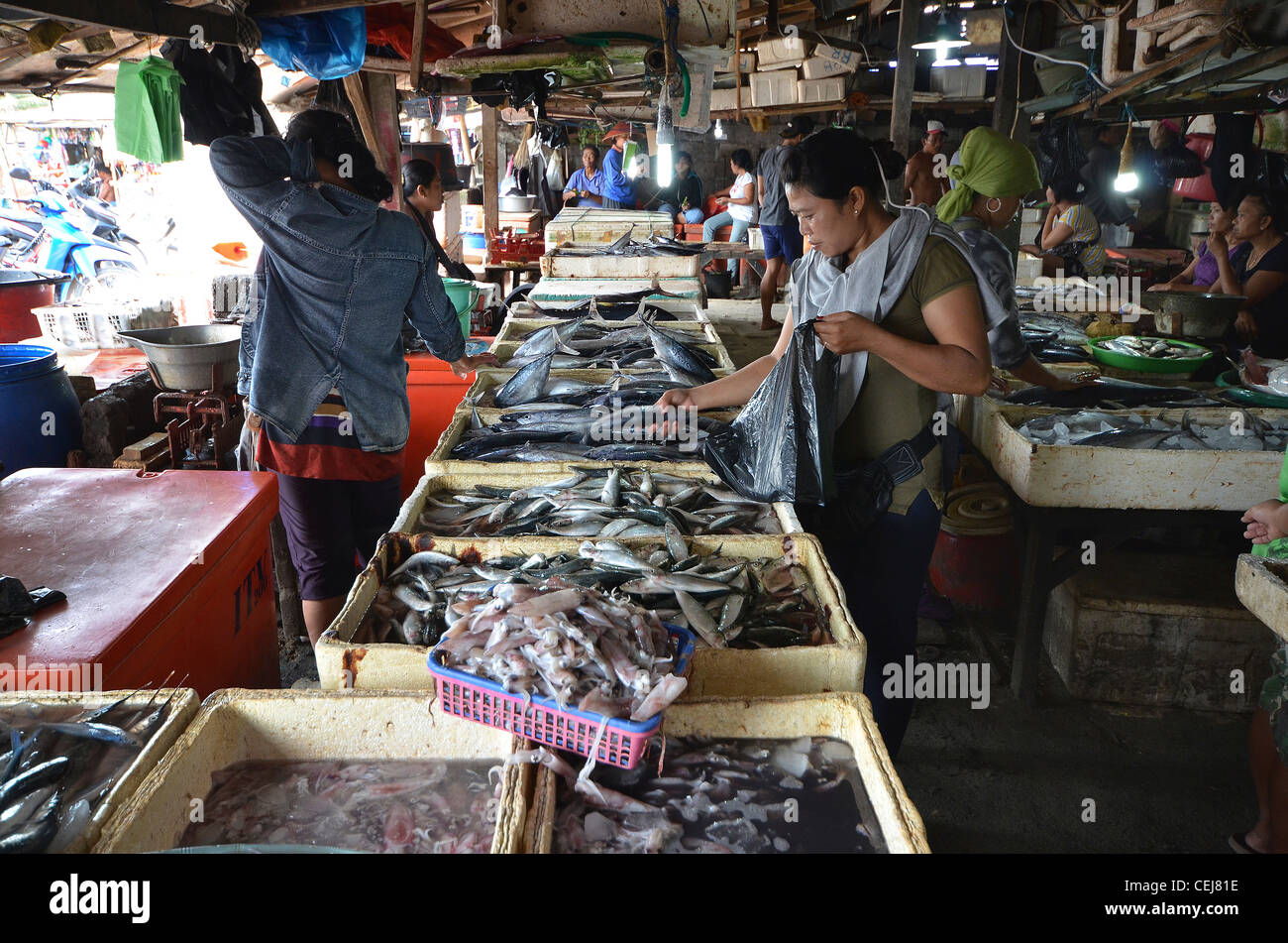 Fresh fish for sale at Jimbaran local fish market, near Kuta, Bali,  Indonesia Stock Photo - Alamy