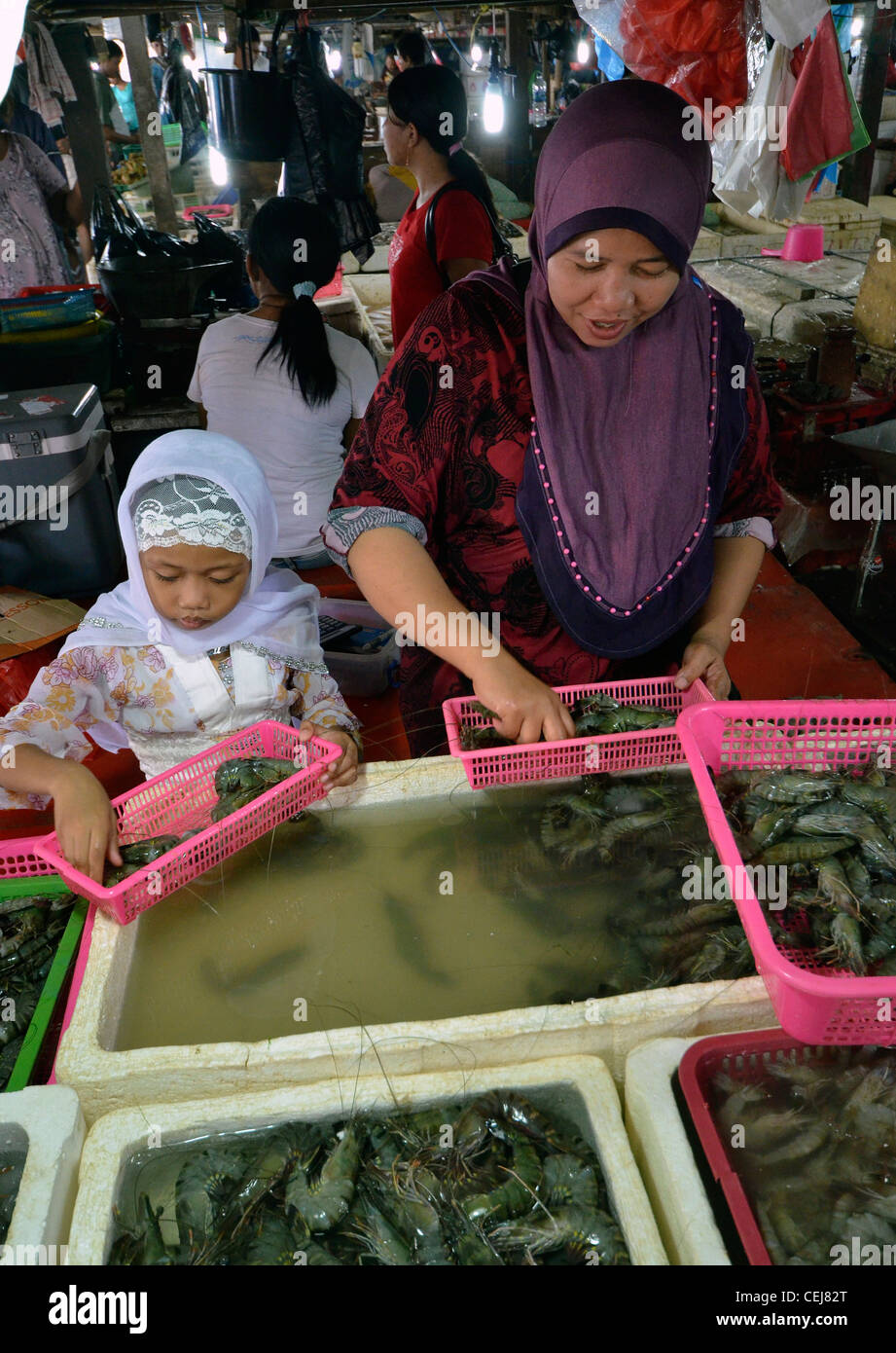 Muslim woman and child sort prawns, Jimbaran local fish market, near