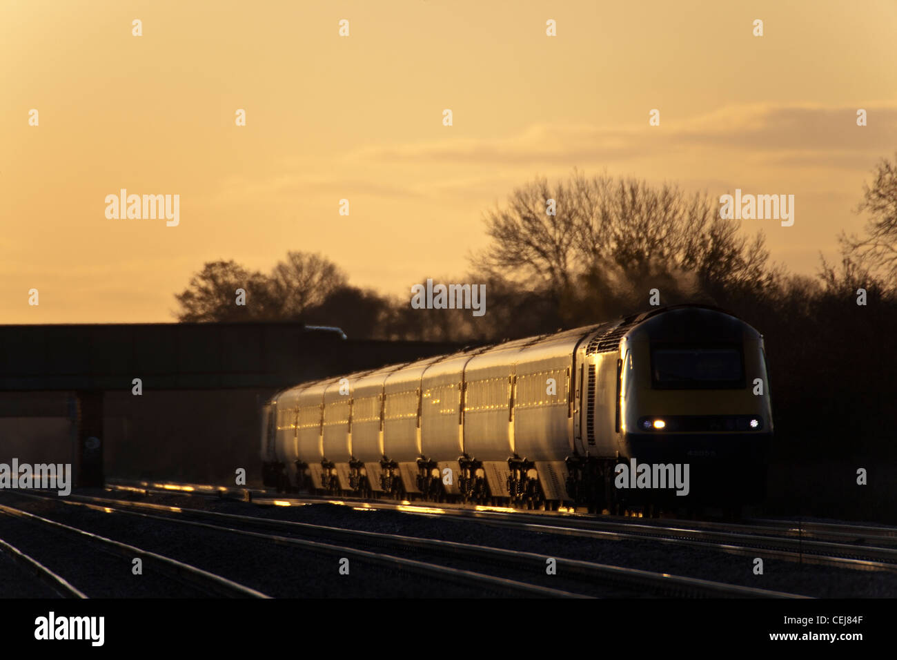East Midlands Trains High Speed Train (HST) catches early morning glint sunlight at Cossington foot crossing. Stock Photo