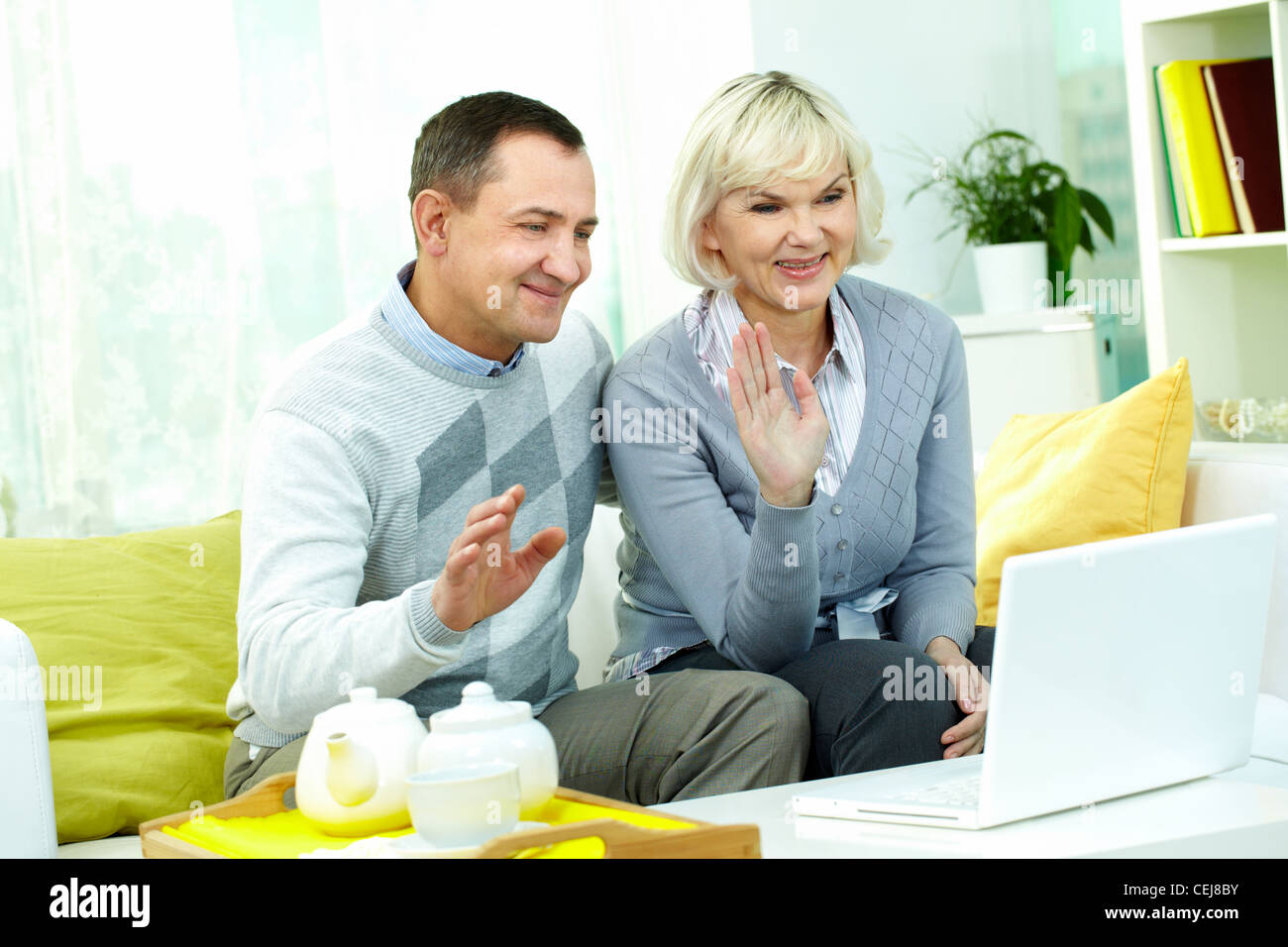 Portrait of mature man and his wife chatting with their friends  pic