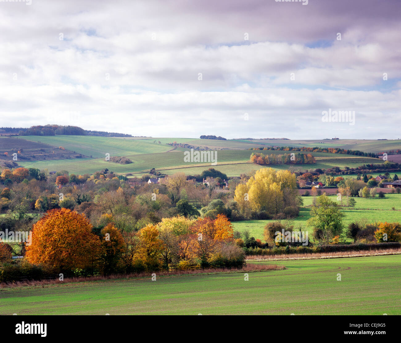 A view of the Wylye Valley in Wiltshire, England, photographed in autumn near the village of Steeple Langford. Stock Photo