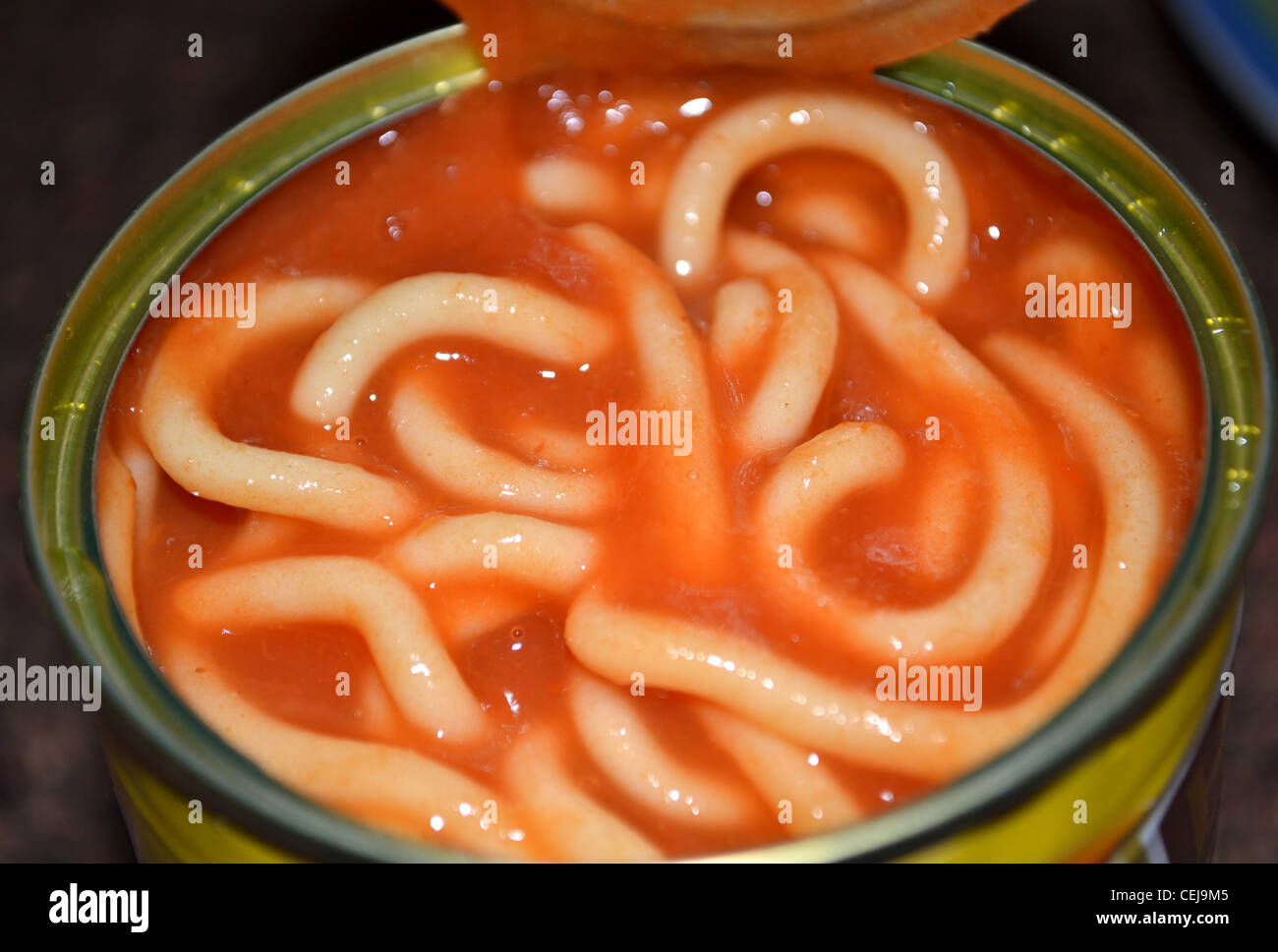 heinz tinned spaghetti, heinz canned spaghetti Stock Photo 43428677 Alamy