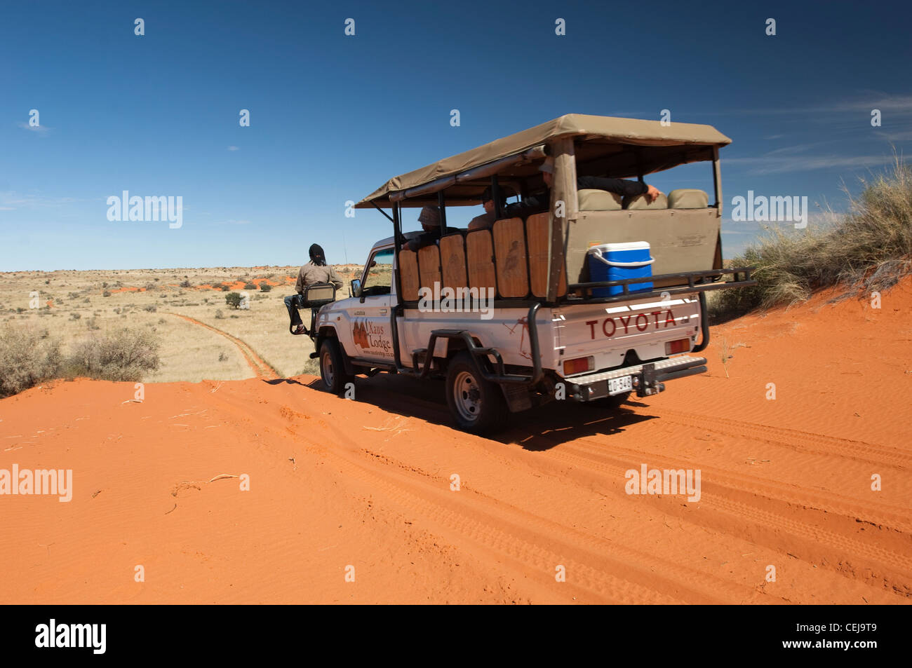 Game Drive run by Xaus Lodge,Kgalagadi Transfrontier Park,Northern Cape Stock Photo