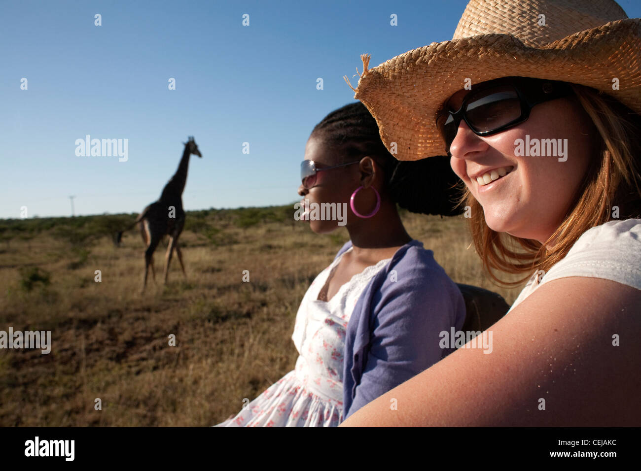 Hluhluwe,Thanda Private Game Reserve. KwaZulu-Natal Stock Photo
