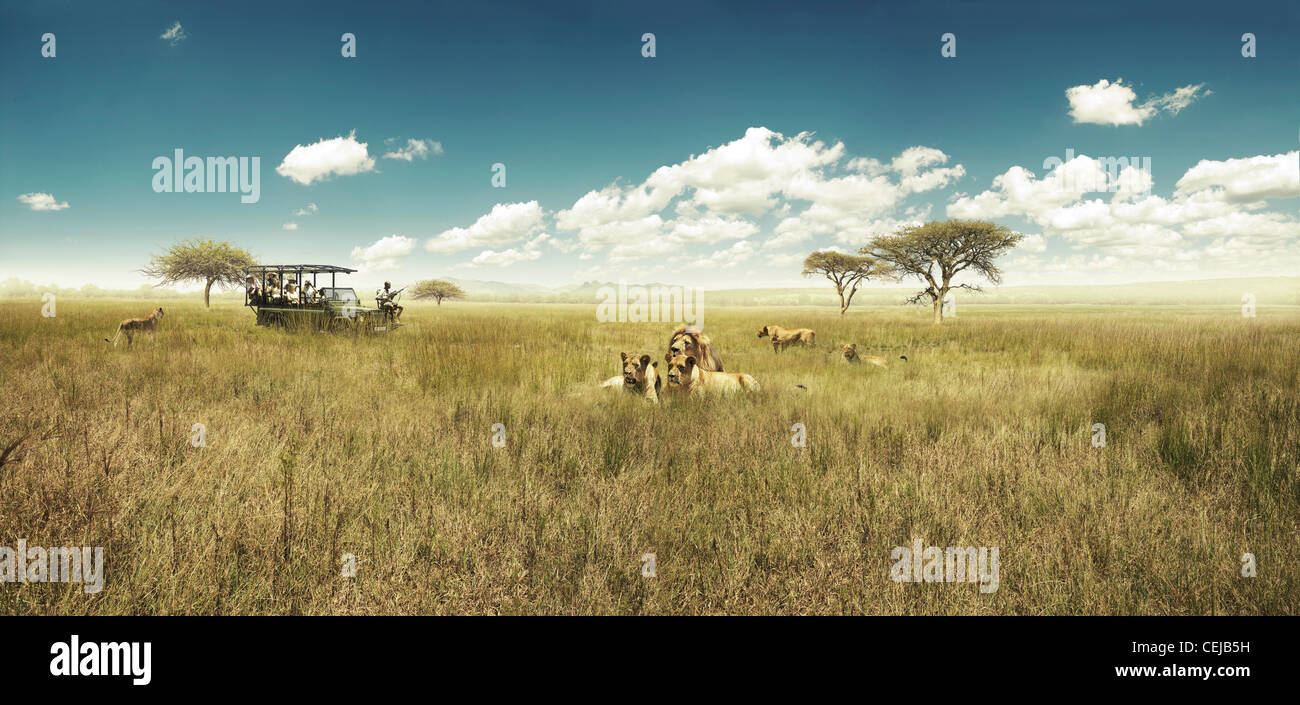 Game drive Stock Photo