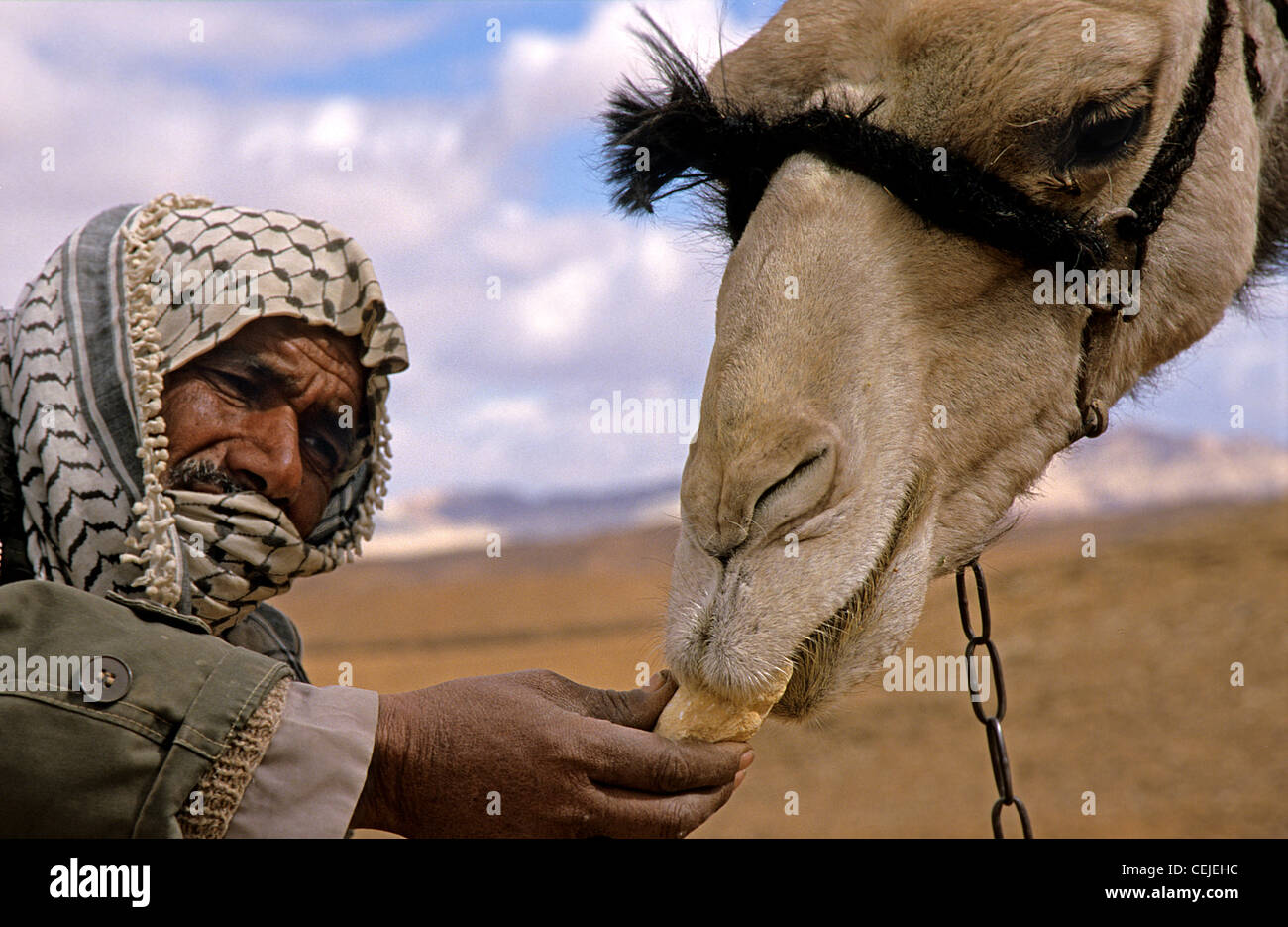 Camel handler hi-res stock photography and images - Alamy