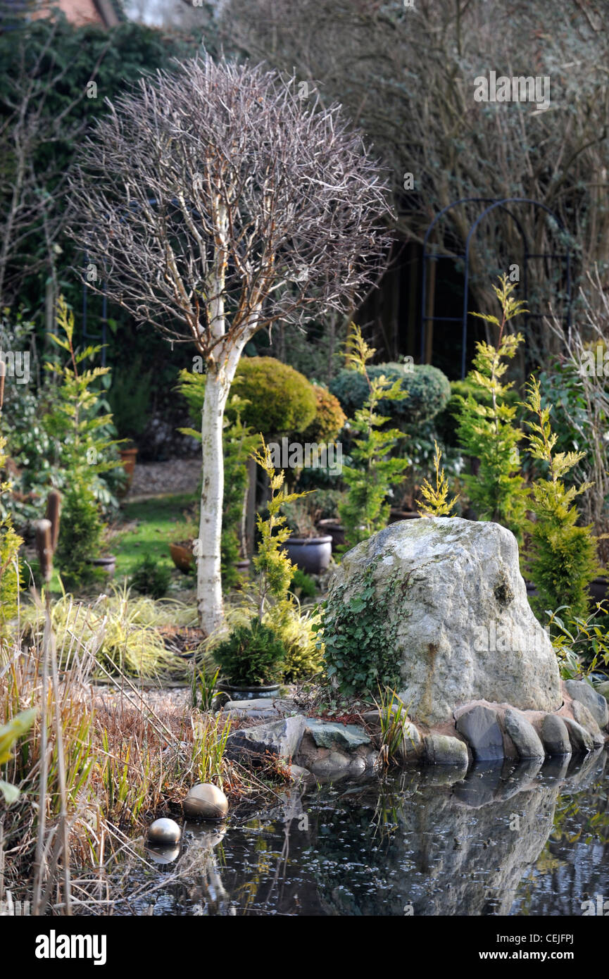 A garden designed for winter colour near Montgomery, Powys UK Stock Photo