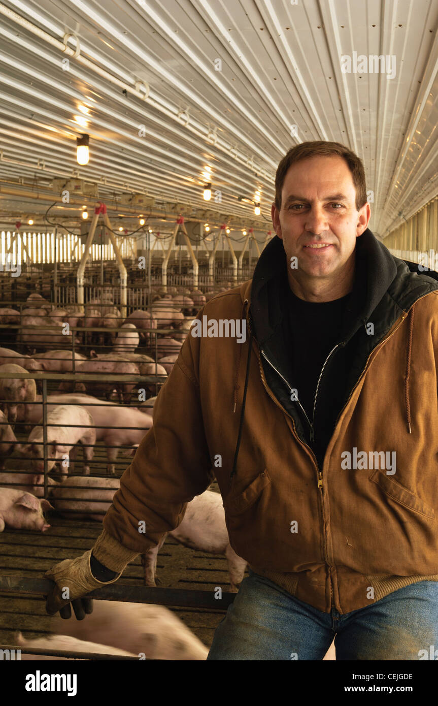 Agriculture - A pork producer poses in his hog confinement facility / Central Iowa, USA. Stock Photo