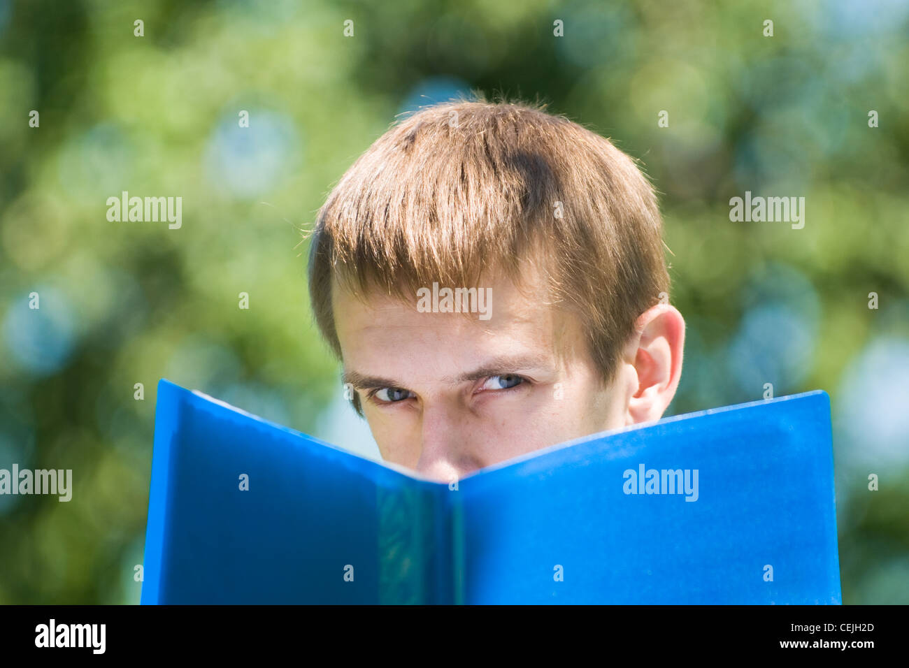 His Paper Young man studies his papers while in a green park Stock Photo - Alamy