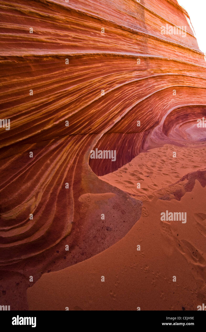 The Wave is a sandstone rock formation located in the United States of ...