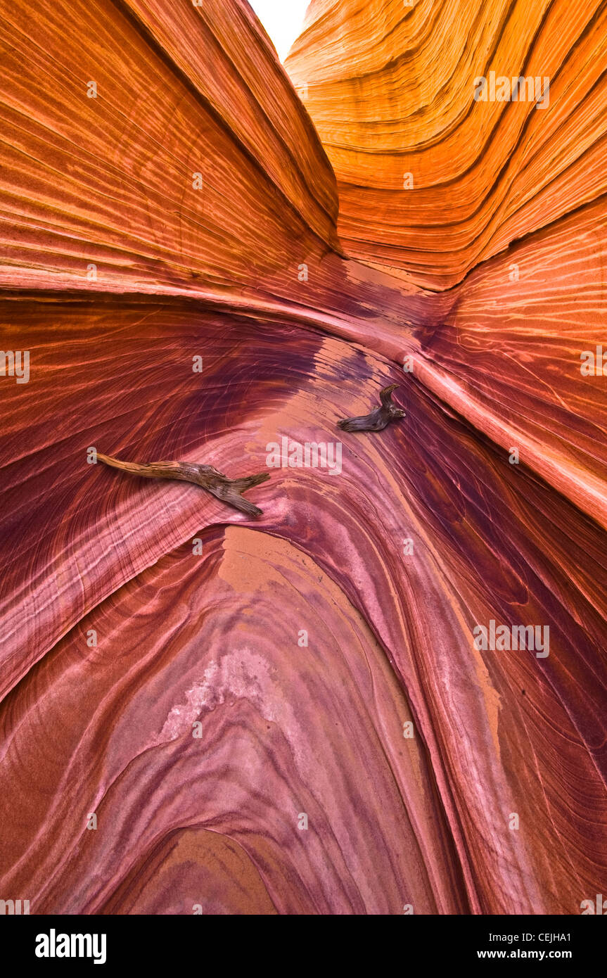 Arizona Utah Rocks The Wave is a sandstone rock formation located in the United States of ...