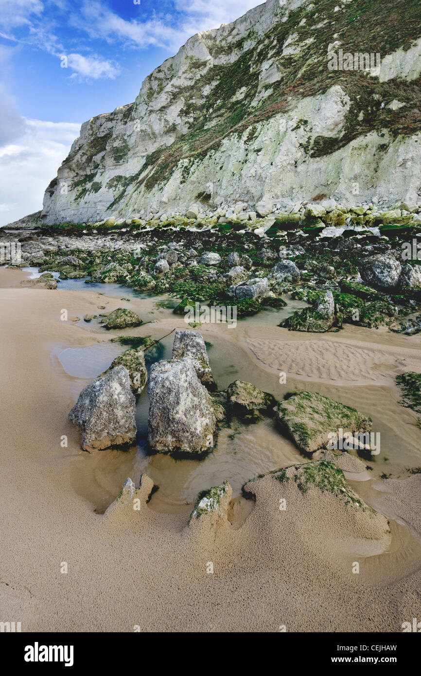 The white chalk cliffs and rocks covered in seaweed at low tide at Cap Blanc Nez, Pas-de-Calais, France Stock Photo