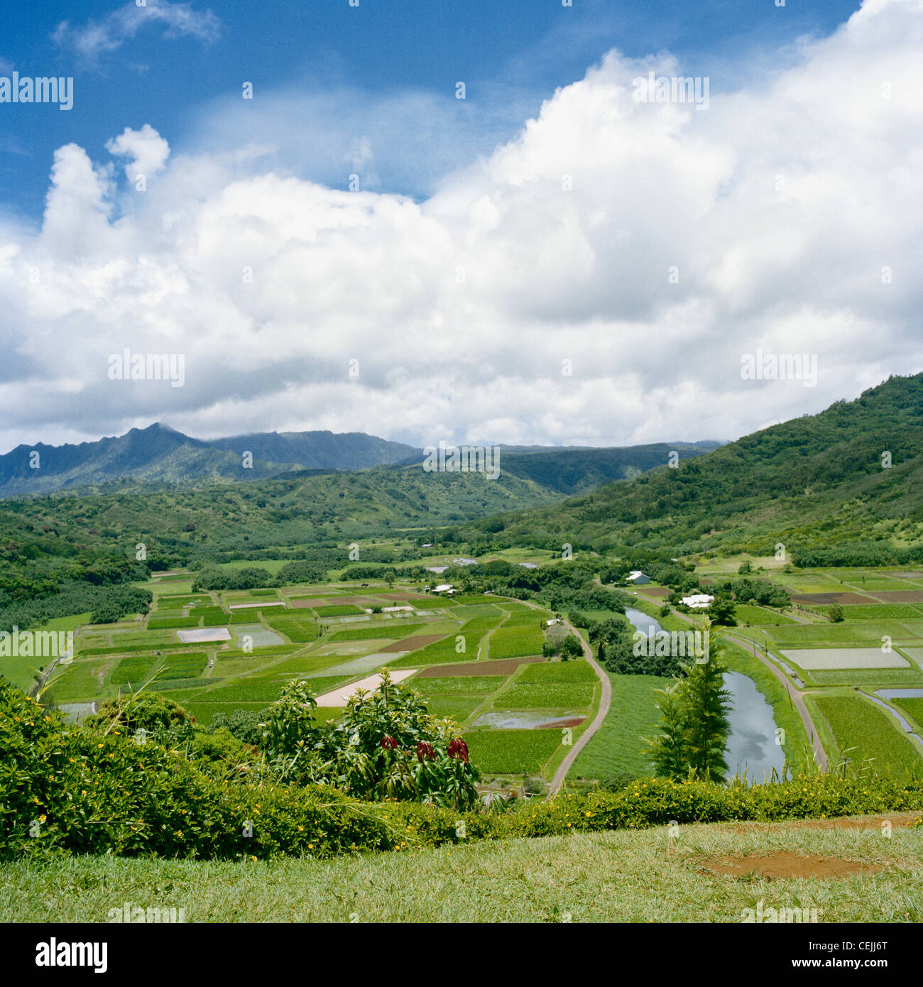 Hanalei Valley Lookout Kaua'i Hawaii Stock Photo Alamy
