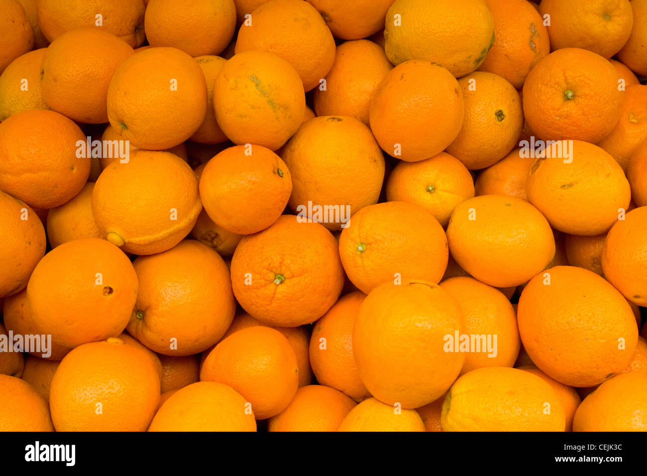 Agriculture - Harvested Navel oranges / San Joaquin County, California, USA. Stock Photo