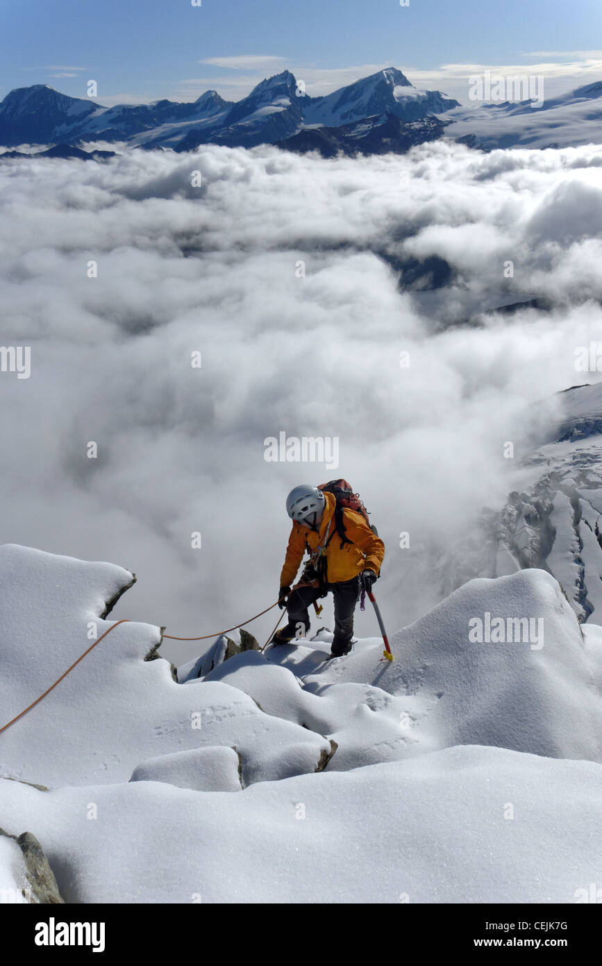 Alpine climbing on the Triftigrat Breithorn Stock Photo