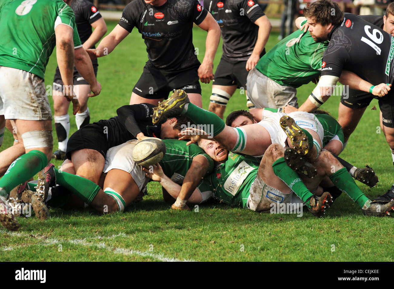 Rugby game, Wharfedale Rugby Union Football Club, North Yorkshire UK Stock Photo