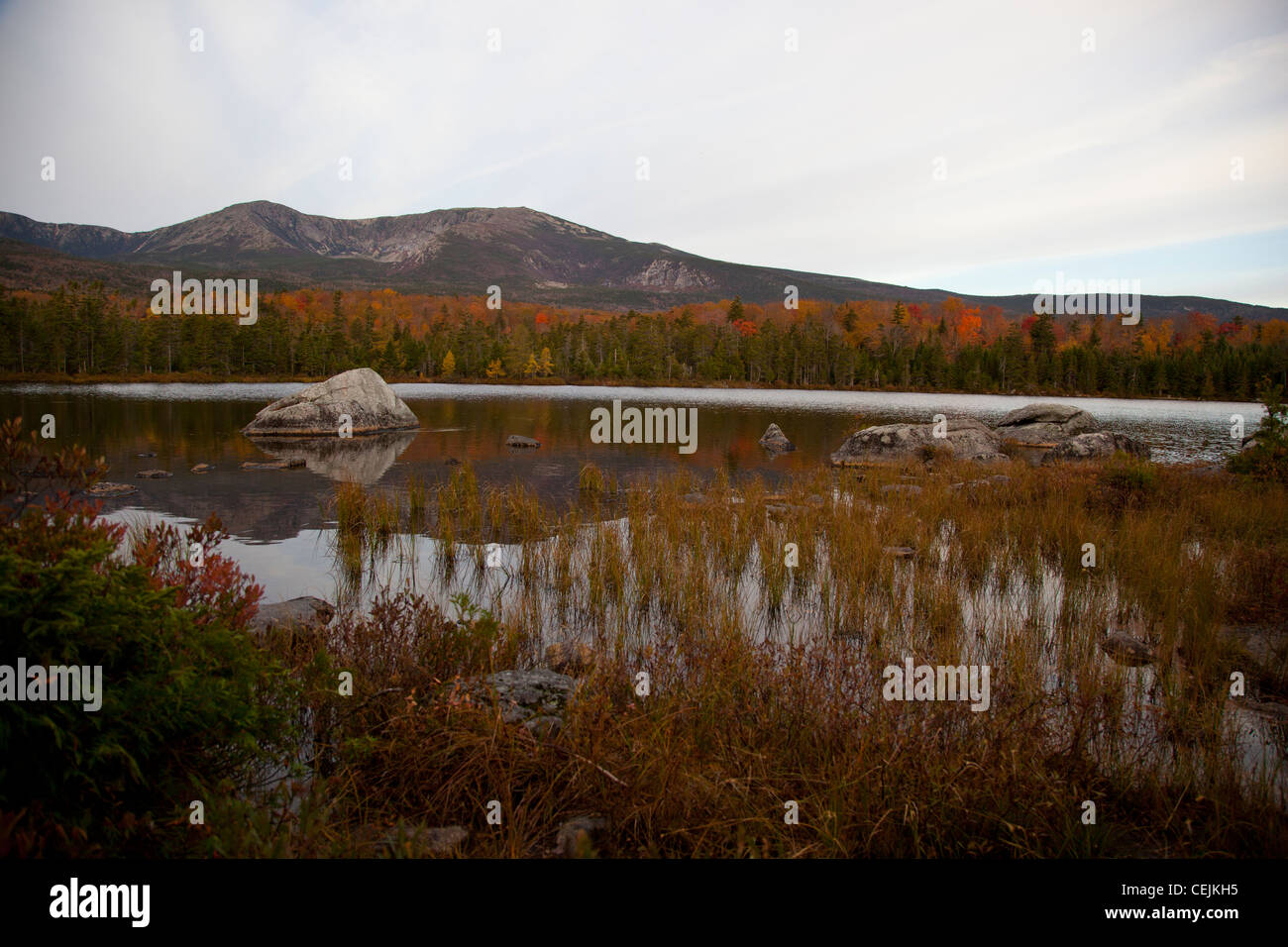 Maine's natural landscapes Stock Photo Alamy