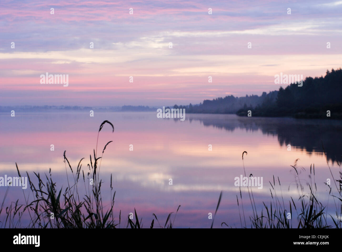 Nature of the Ryazan Territory Nature of the Ryazan Territory