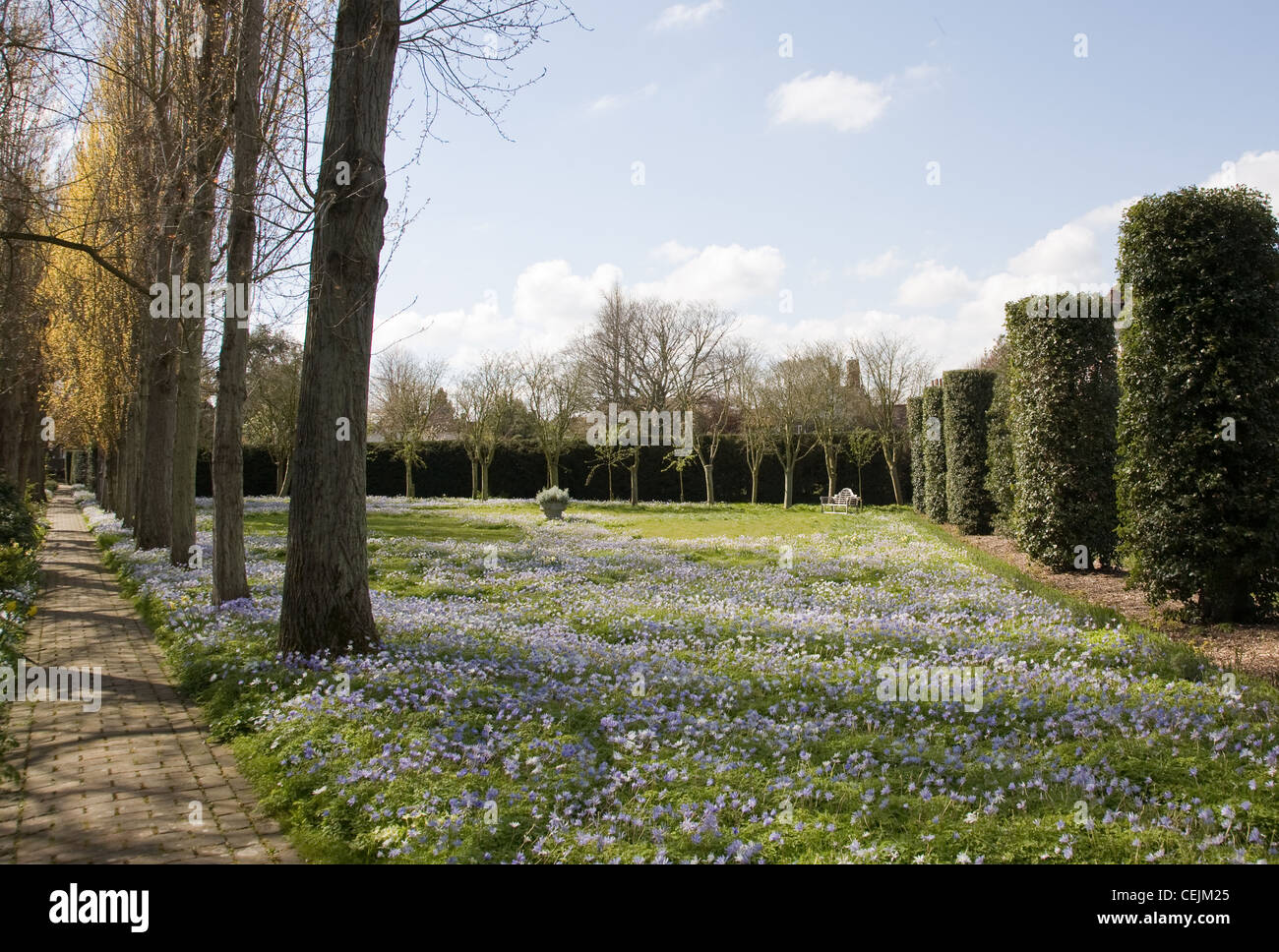 The Salutation Garden in Sandwich, Kent, England Looking towards the