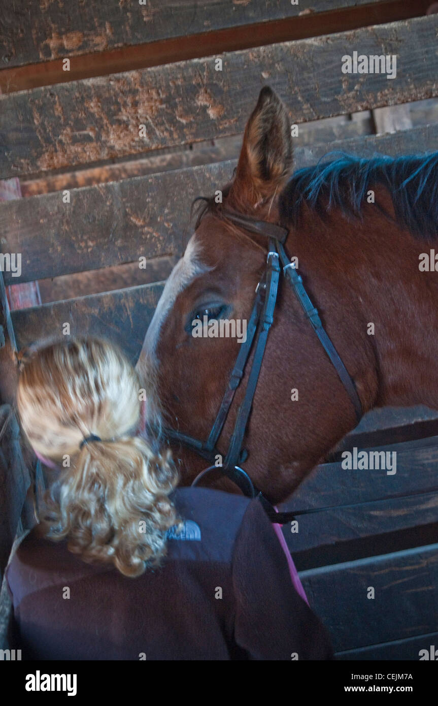 Young teen age girl with horse in stable Stock Photo - Alamy