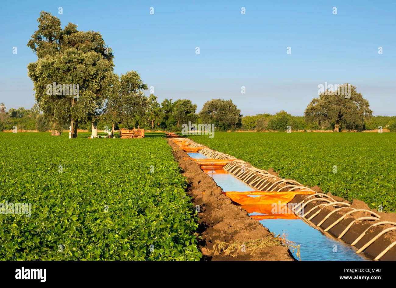Irrigating ditch hires stock photography and images Alamy