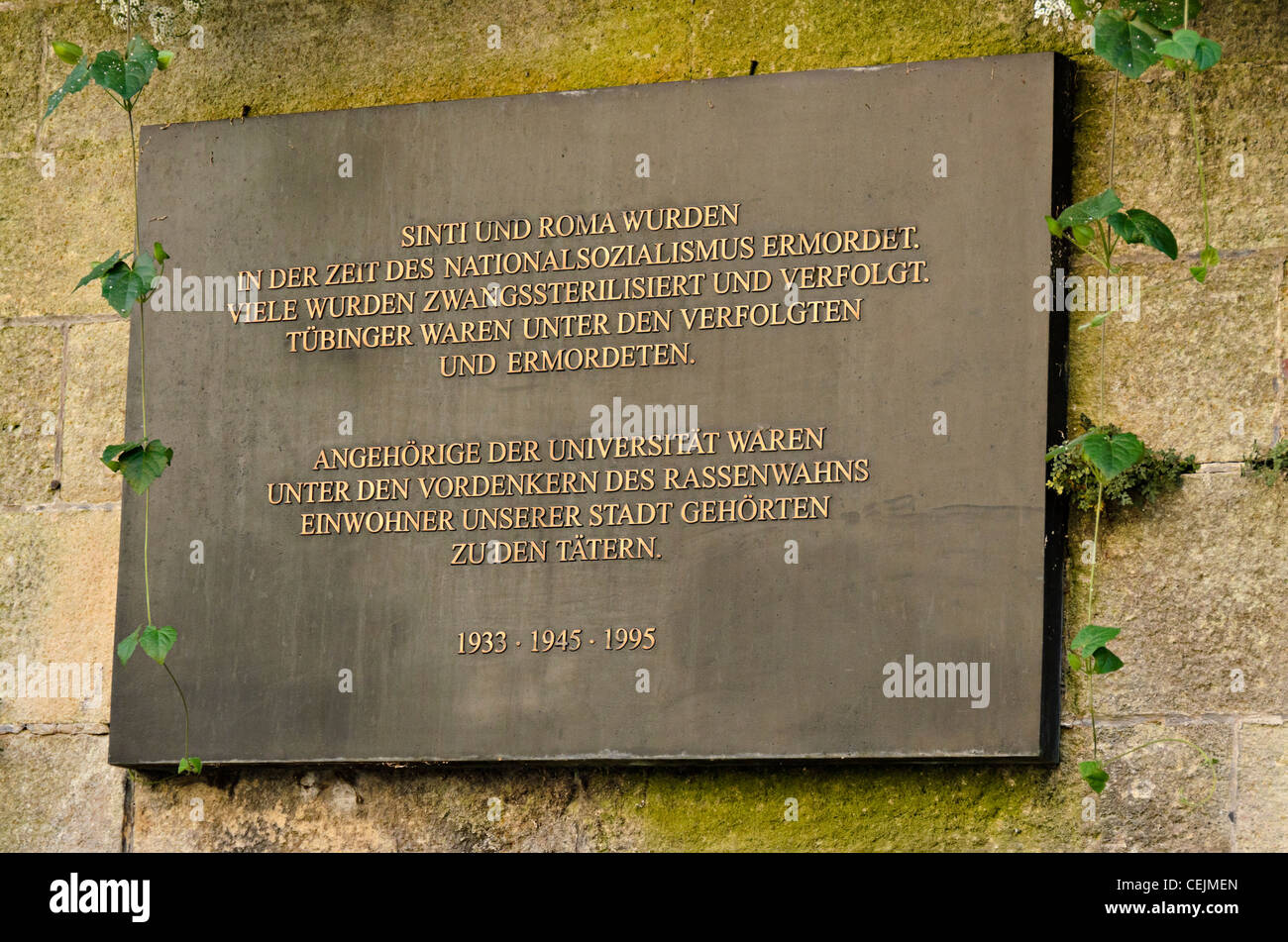Memorial plaque to Gypsies “Sinti and Roma” victims of the Nazis in Tübingen city center, 1933-1945-1995, Germany Stock Photo